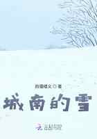 城南的雪