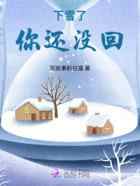 下雪了，你还没回